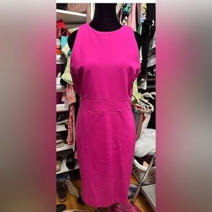 Ann Taylor Career Sleeveless Dress, size 10p.